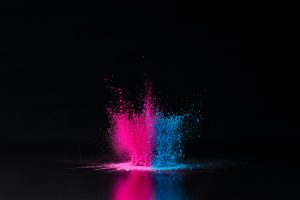 pink and blue holi powder explosion on black, traditional Indian festival of colours