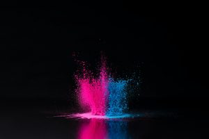 pink and blue holi powder explosion on black, traditional Indian festival of colours