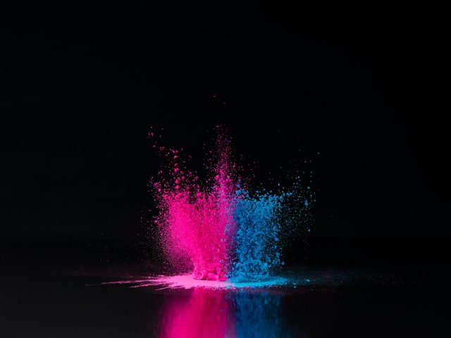 pink and blue holi powder explosion on black, traditional Indian festival of colours